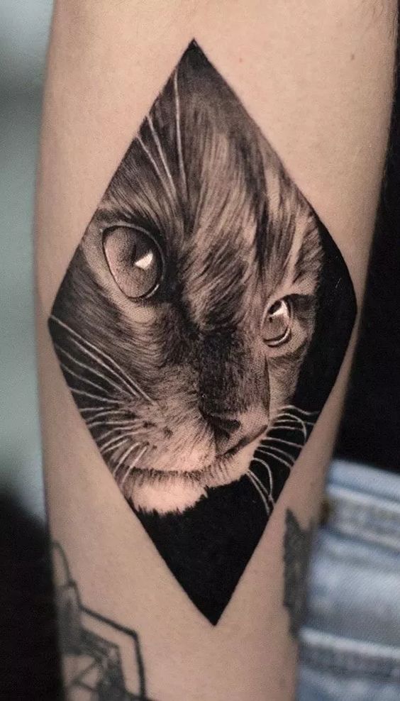 tatuaje gato