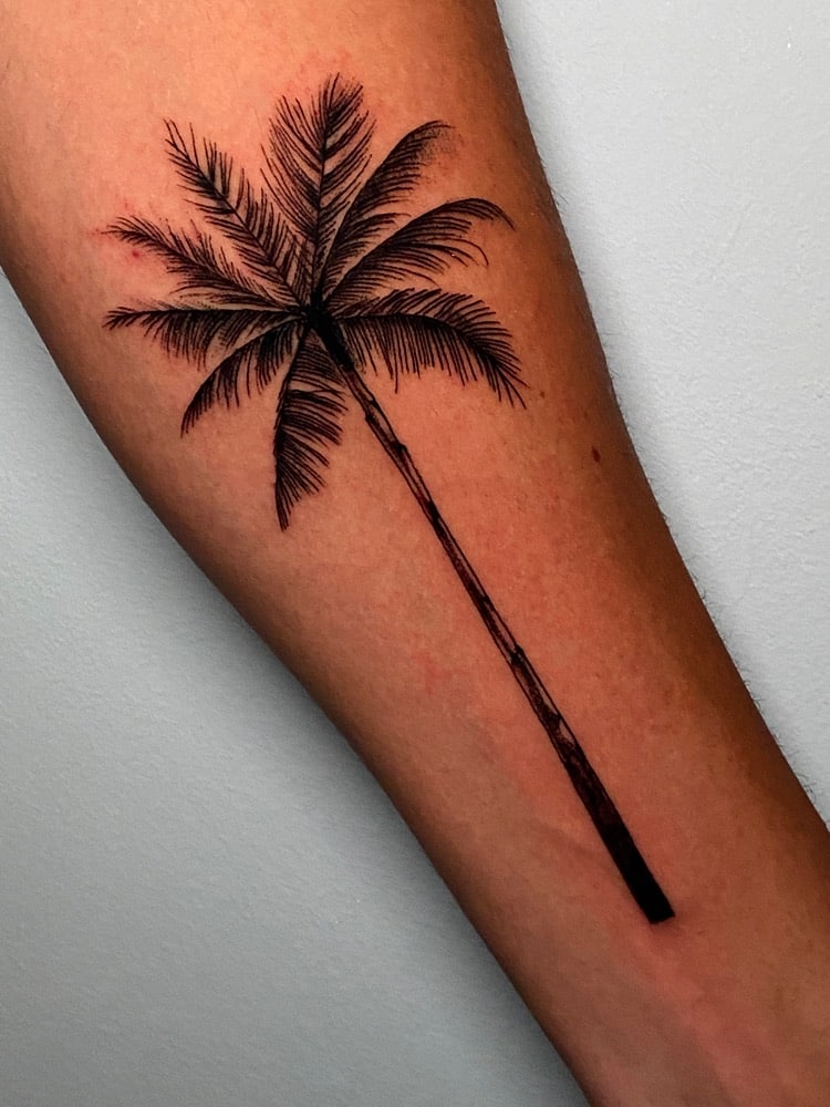 tatuaje palmera blackwork