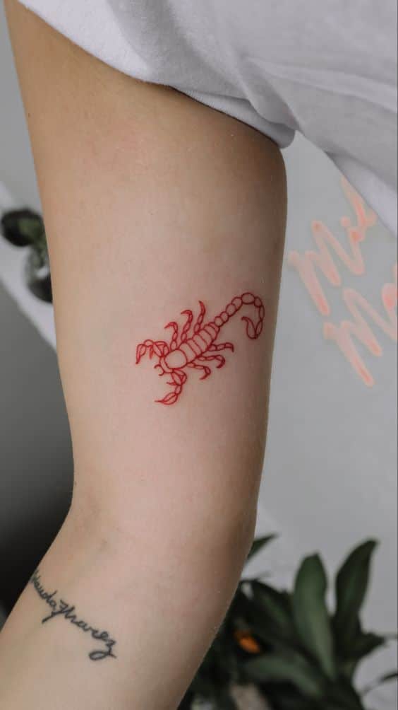 tatuaje escorpión rojo