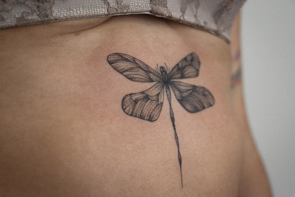 tatuajes abdomen libélula