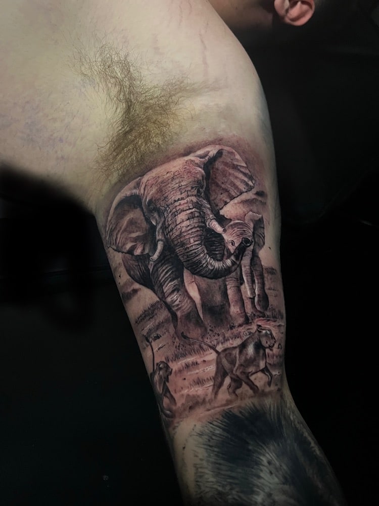 tatuajes familia elefantes