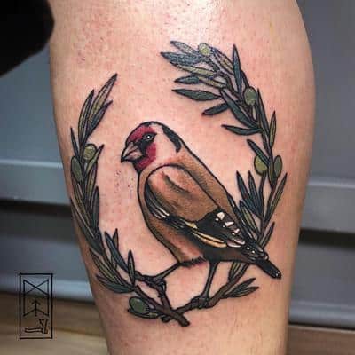 tatuajes naturaleza pájaro