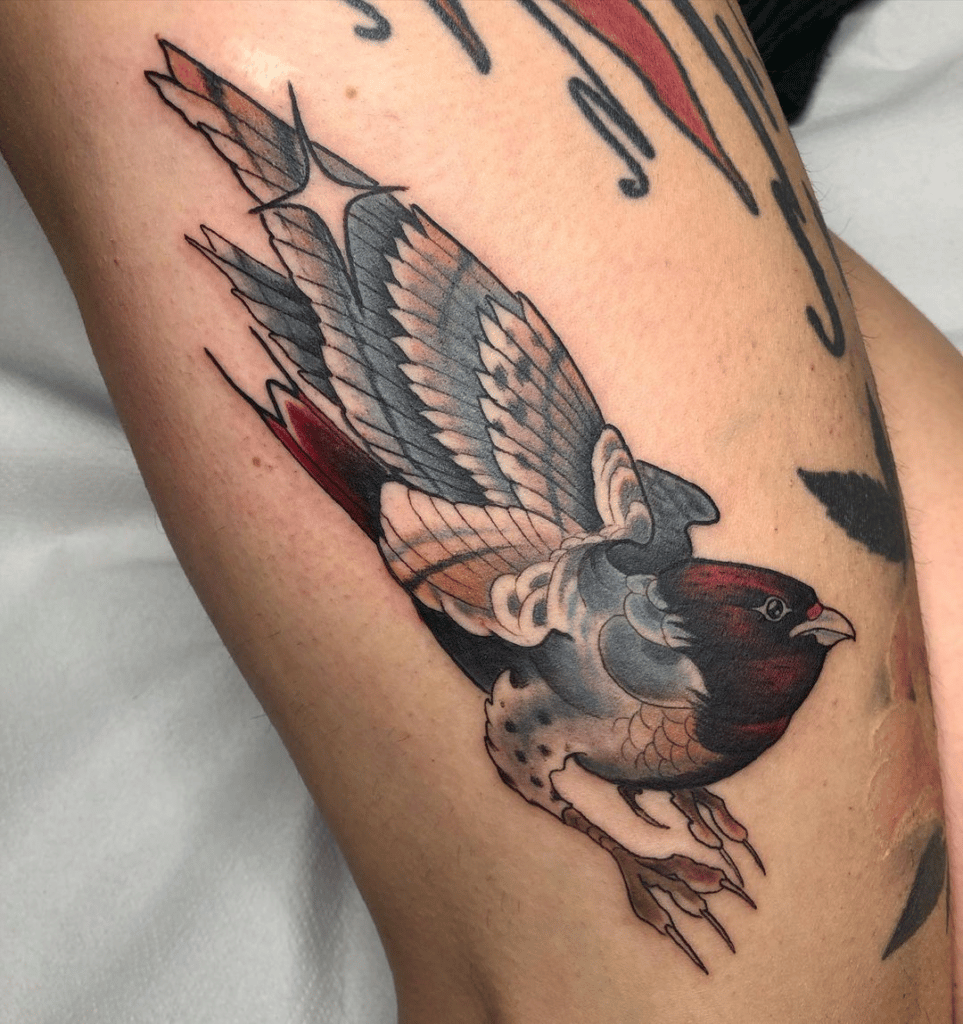 tatuajes pájaros exóticos