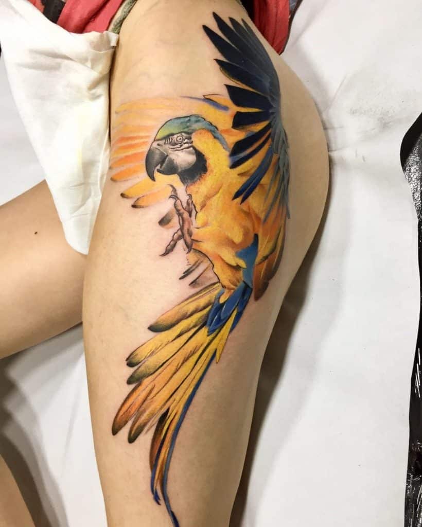 tatuajes pájaros papagayos