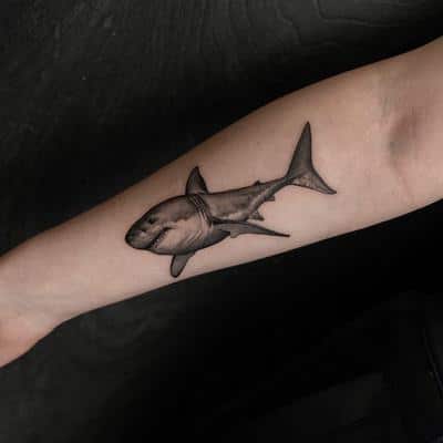 tatuajes tiburón blanco