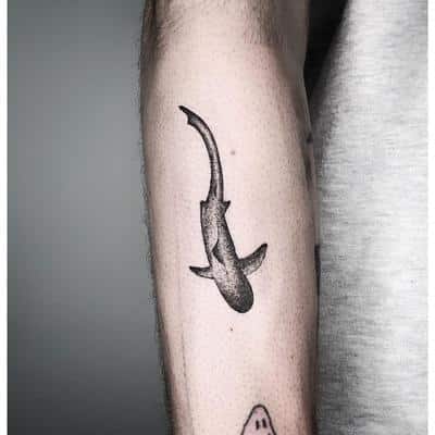 tatuajes tiburón pequeño
