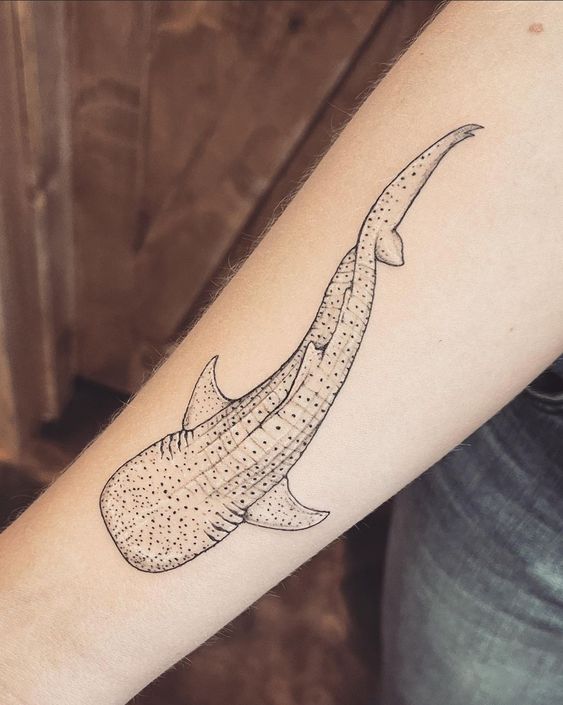 tatuajes tiburón ballena fineline