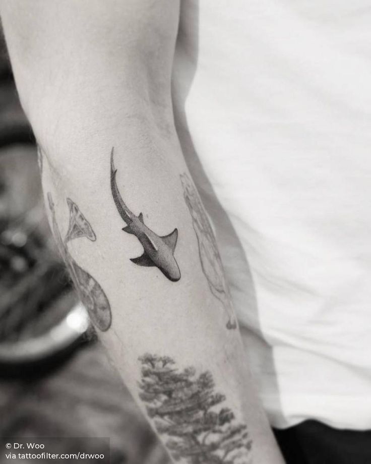 tatuajes tiburones microrealistas