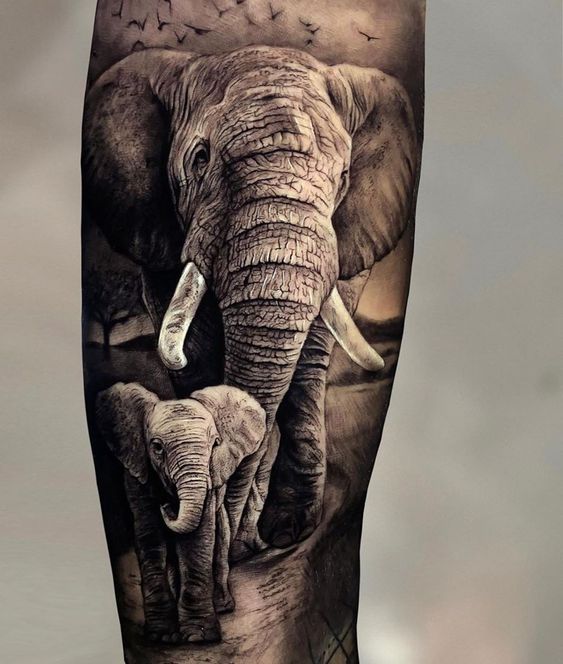 tatuaje elefante realista