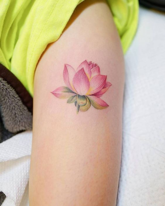 tatuaje flor de loto