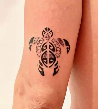 tatuajes maoríes tortuga