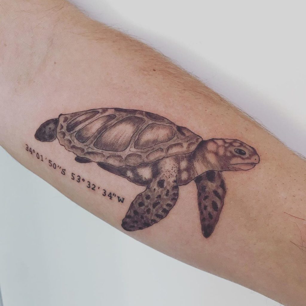tatuajes tortugas realistas