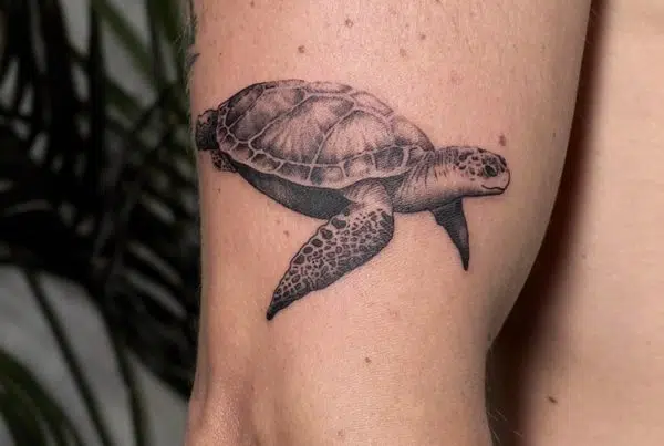 tatuajes tortugas pequeñas