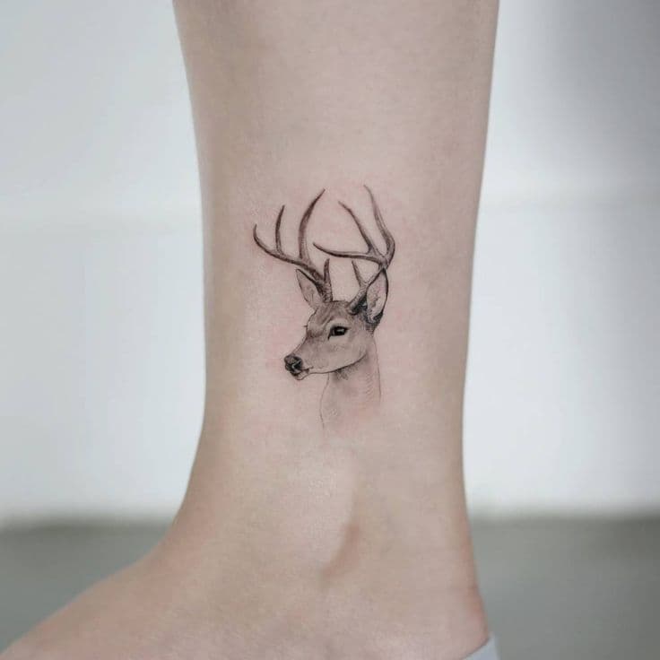 tatuaje ciervo realista