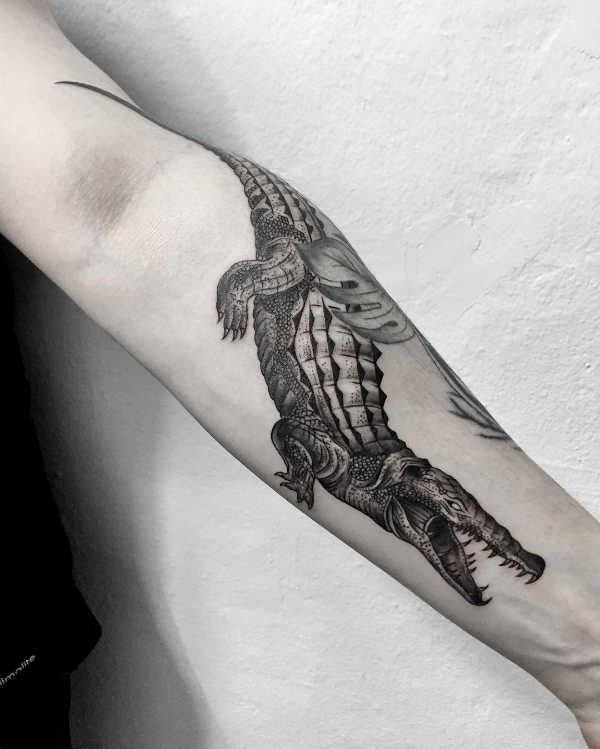 tatuaje cocodrilo brazo