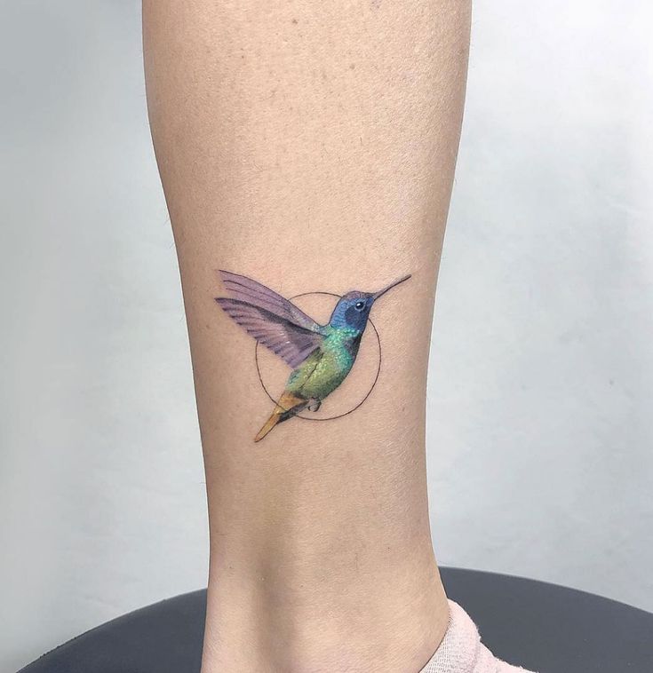 tatuaje de colibrí círculo
