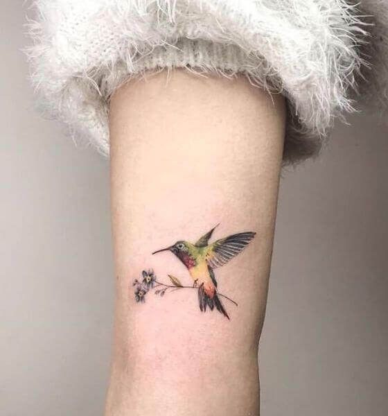 tatuaje de colibrí color