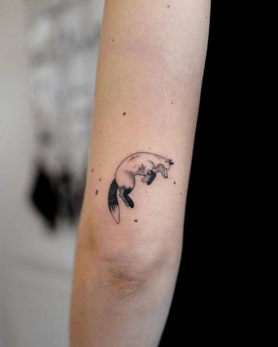 tatuaje zorro pequeño (24)