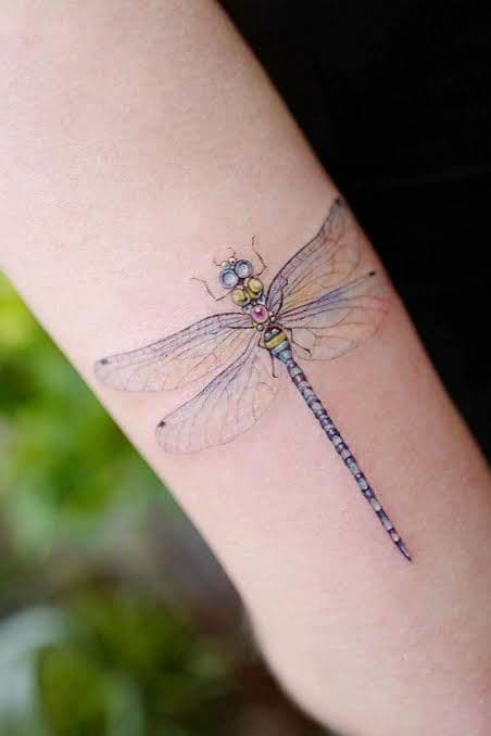tatuajes de libélulas a color