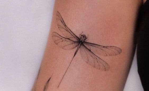 tatuajes de libélulas (20)