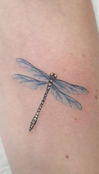 tatuajes de libélulas a color